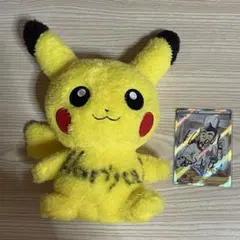 ポケモンセンター ハロウィン ぬいぐるみ ピカチュウ 2008 - メルカリ