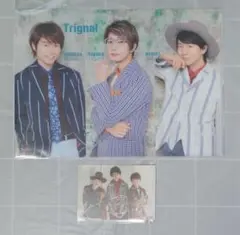 【匿名配送】声優 Trignal クリアファイル CD特典カード