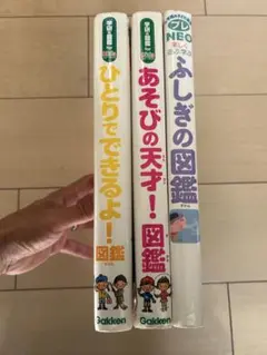 Item thumbnail for item 4de4d0da-b657-4db2-8dc5-bf337a2ddc87