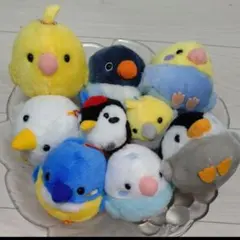 2025年最新】ことり隊 ぬいぐるみの人気アイテム - メルカリ