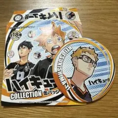 ハイキュー!! コレクション缶バッジ 第5弾 月島蛍 ゲンガタイカン