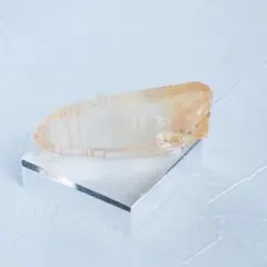 2025年最新】レムリア コロンビアの人気アイテム - メルカリ