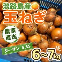 淡路島　玉ねぎ　6～7kg　ターザン　産地直送　農家のサムネイル