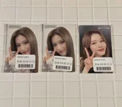 【匿名】MISAMO HAUTE COUTURE ステッカー サナ