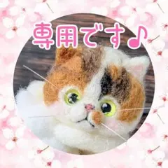 ちょこ♡様専用です♪