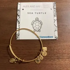 【新品未使用】ALEX AND ANI ブレスレット　1点もの
