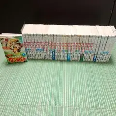 金色のガッシュ！！ 全巻セット