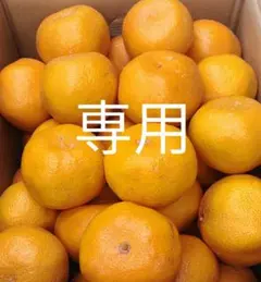 モッチー☆様専用ページです。