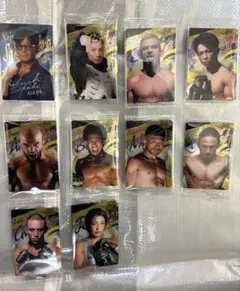 Item thumbnail for item 79956778-4e43-4ef2-a840-c2e444671949