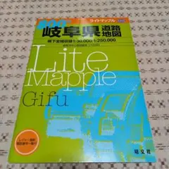 Lite Mapple Gifu 道路地図 2003年版