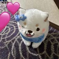 もちしば ぬいぐるみ 白柴のサムネイル
