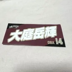 越谷アルファーズ