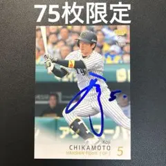 BBM2025 2nd 近元光司 阪神タイガース 青箔サイン 75枚限定