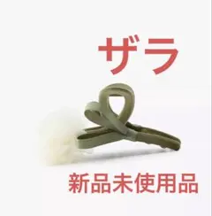 ザラ　ヘアクリップのサムネイル