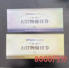 ヤマダ電機　YAMADA HLDGS 優待券 8000円分