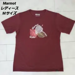 Marmot レディース Tシャツ Mサイズのサムネイル