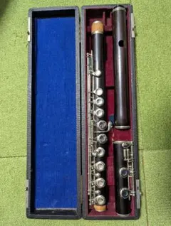 Item thumbnail for item dd25a522-5a85-43ff-8fc1-6506c39467cc