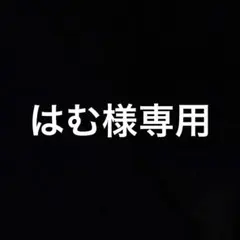 はむ様専用