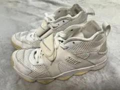 Item thumbnail for item a16b48eb-361b-420c-bb49-6f682884a5df