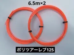 ポリツアーレブ