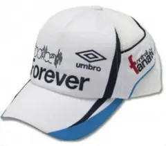 Item thumbnail for item 3d66a6c7-089a-4d83-8f74-2928a667f484