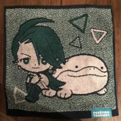 ポケモン　トレーナーズ　ゲストタオル　チリ&ドオー