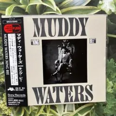 マディ・ウォーターズ/キング・ビー