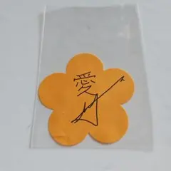 ENHYPEN FATE ヒスン オレンジフラワー