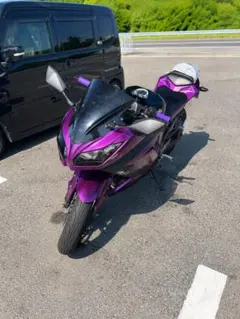 Kawasaki Ninja250 EX250Lのサムネイル