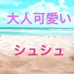 <新作> シュシュ 白 黒 新品 送料無料