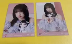 野口衣織（＝LOVE、イコラブ）　生写真　魔法少女　ぬいぐるみ