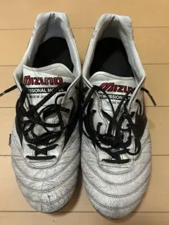 モレリア 2JAPAN