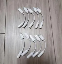 Apple純正変換アダプタ10本