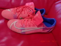 Item thumbnail for item bd6bf069-bed4-4e0f-9e54-37e3d1cbc442