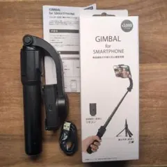 Item thumbnail for item c4920714-30b0-4576-9e5d-e650d3d626c3