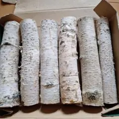 もっちー様 リクエスト 2点 まとめ商品