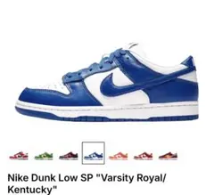 2026年最新】nike ダンクロー バーシティロイヤルの人気アイテム