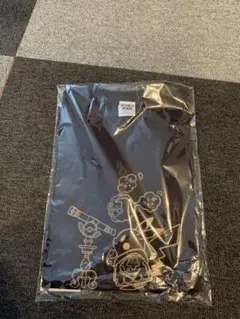 Item thumbnail for item 9ceedbfe-6a37-4c6c-bb08-cdaaf65025f9