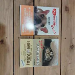 2026年最新】深見_東州の人気アイテム - メルカリ