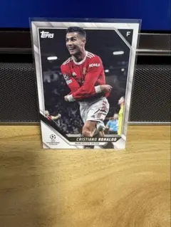 Item thumbnail for item 714fce48-8887-447c-8f34-850b12f382e0