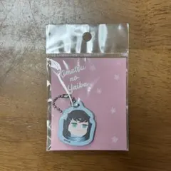 鬼滅の刃☆合皮チャーム☆時透無一郎①