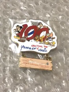 非売品 ウォルトディズニーワールド キャスト限定 ピンバッジ ピンバッチ