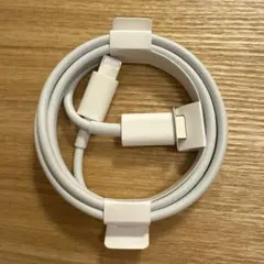 iPhone付属品 充電器 純正 タイプCライトニングケーブル Apple正規品