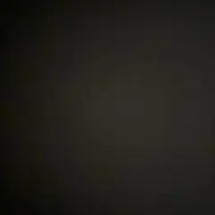 専用出品