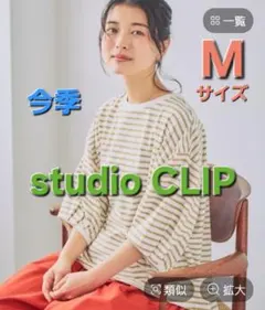 【美品】今季 スタディオクリップ USAコットンパフスリーブTシャツ M