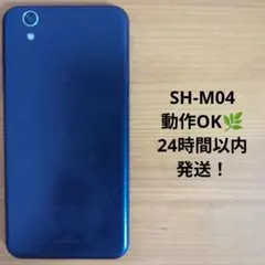 Item thumbnail for item ee259a5c-51a9-4e21-a0ab-7e08d0026a9a