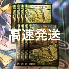 コレンココタンク ボントプラントボ ボント・プラントボ 各4枚 グランセクト　3