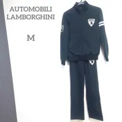 Item thumbnail for item 03f9a324-dd13-4450-a6c8-04a5e171d97a