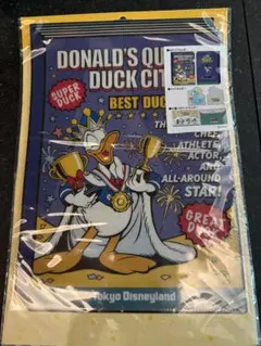 Item thumbnail for item 49f1ab89-c94a-4ab7-b52d-2c9f897e9e0a