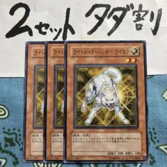 【即購入OK】世界に1枚　ライトロードハンター　ライコウ　パラレル　PSA10 即購入OK】世界に1枚 ライトロードハンター ライコウ パラレル